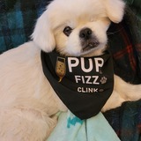 Entry image for Charlie