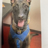 Entry image for Diego