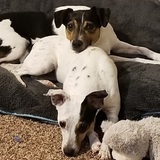 Entry image for Angel & Moonlight 