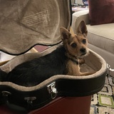 Entry image for Zack