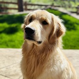 Entry image for Oakley 