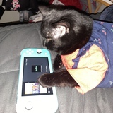 Entry image for Chloe Anastasia 