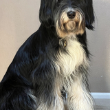 Entry image for Rossi