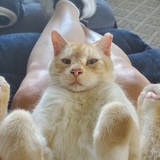 Entry image for Nate the Nerd