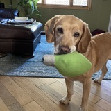 Entry image for Abbey