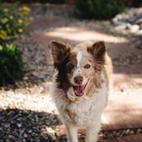 Entry image for Chilly 