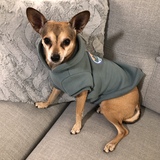 Entry image for Darla