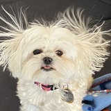 Entry image for Daisy May