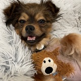 Entry image for maggie 