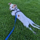 Entry image for Malcolm Reynolds 