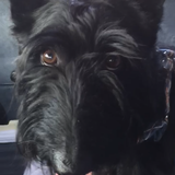 Entry image for Kirby