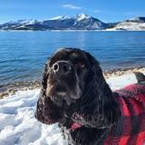 Entry image for Husker