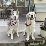 Entry image for Riley & Jake