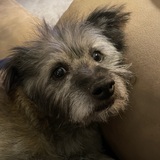 Entry image for George