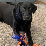 Entry image for Teke