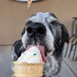 Entry image for Little Man