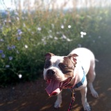 Entry image for Jessimae