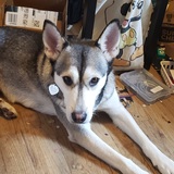 Entry image for Lilly