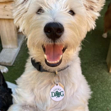 Entry image for Lamar 