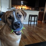 Entry image for Aspen 