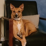 Entry image for Fynn