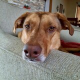 Entry image for Penny