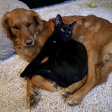 Entry image for Mikko and Zoe 