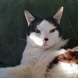 Entry image for Gary