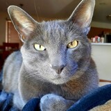 Entry image for Bernie