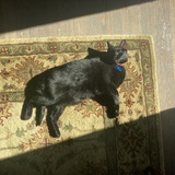 Entry image for Johnny Marr