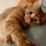 Entry image for Aether