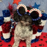 Entry image for DAKINI