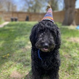 Entry image for Lilly