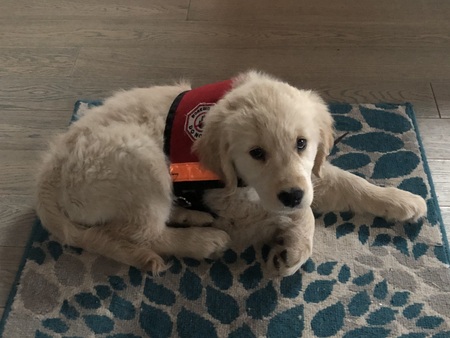 Entry image for Winnie . Clicking this image will show a larger photo