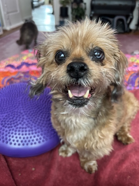 Entry image for Keyeh. Clicking this image will show a larger photo