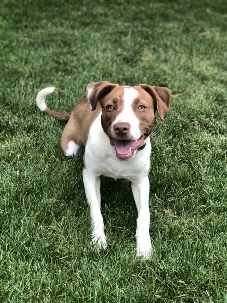 Entry image for Remi. Clicking this image will show a larger photo