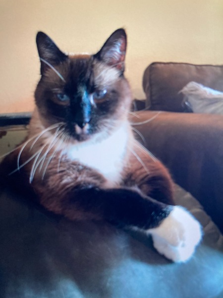 Entry image for Rebound . Clicking this image will show a larger photo