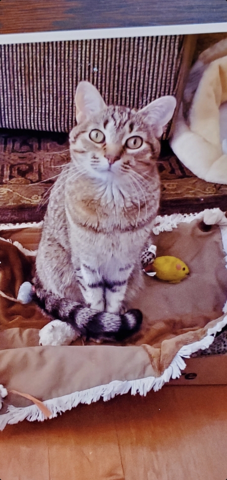 Entry image for Maddie. Clicking this image will show a larger photo