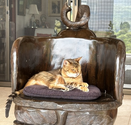 Entry image for Edie. Clicking this image will show a larger photo