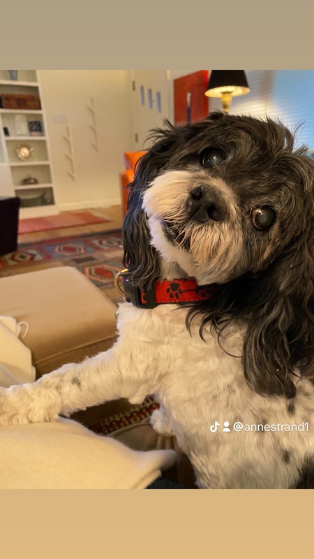 Entry image for Henry Nostrand . Clicking this image will show a larger photo