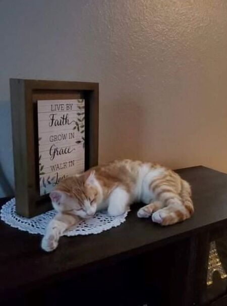 Entry image for Danie. Clicking this image will show a larger photo