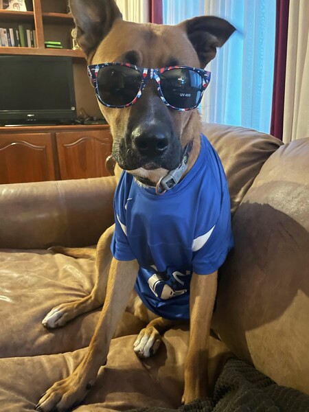 Entry image for Ragnar. Clicking this image will show a larger photo