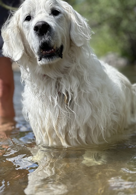 Entry image for Asher. Clicking this image will show a larger photo