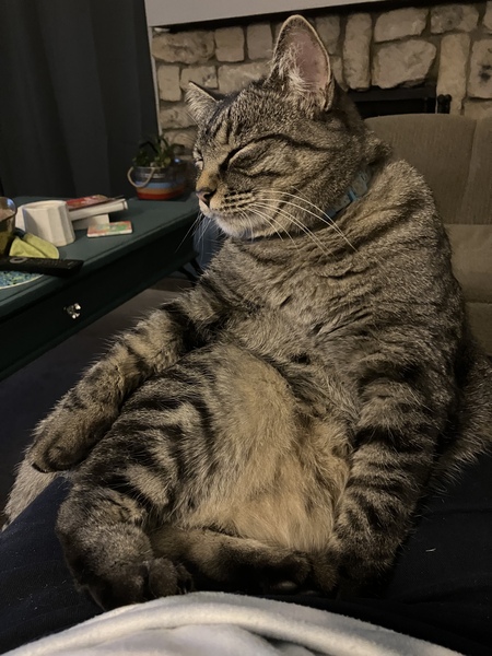 Entry image for Riley. Clicking this image will show a larger photo