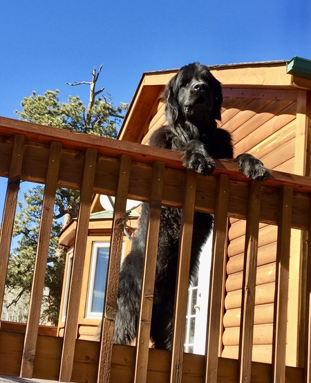 Entry image for KELSEY. Clicking this image will show a larger photo