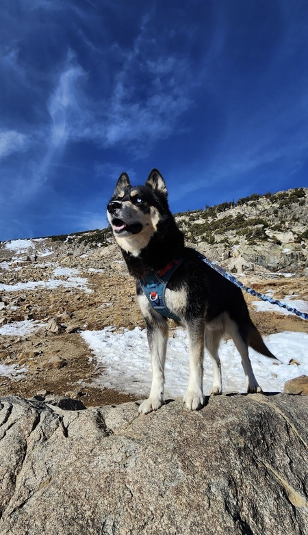 Entry image for Samuel. Clicking this image will show a larger photo