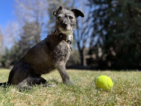 Entry image for Dieter. Clicking this image will show a larger photo