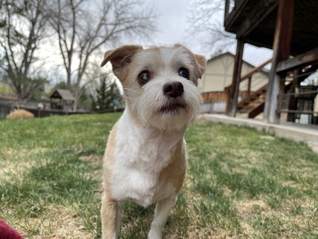 Entry image for Mädchen. Clicking this image will show a larger photo