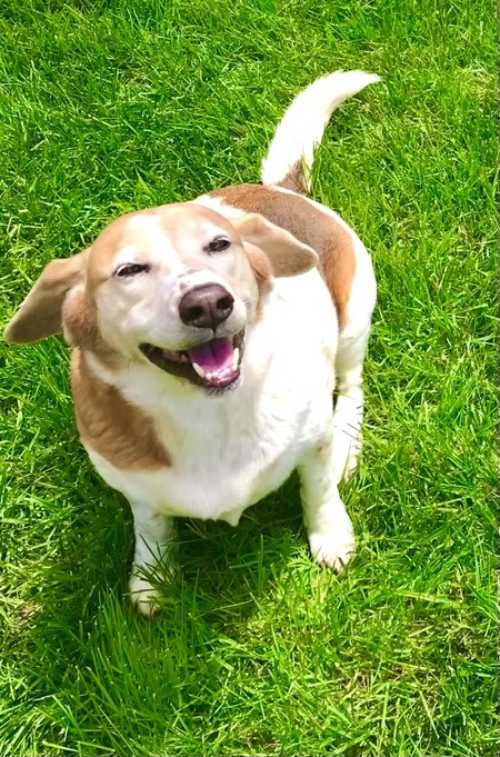 Entry image for Happy. Clicking this image will show a larger photo