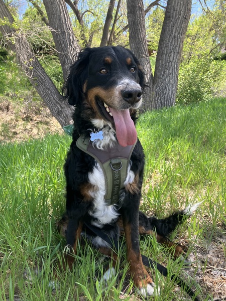 Entry image for Ludlow. Clicking this image will show a larger photo